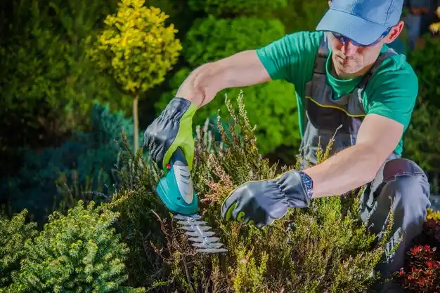 landscaping services Allegan